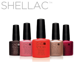 shellac.PNG